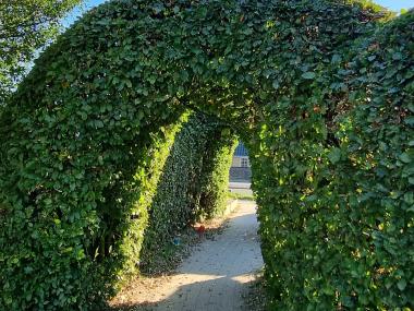 Tandslet Naturbørnehus